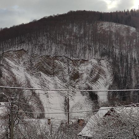 "У Пасічника" Котедж Для Сім'Ї Yaremche Exterior foto